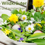 Essbare Wildkräuter